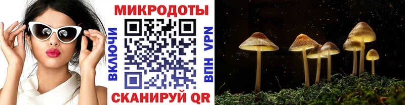 Псилоцибиновые грибы Cubensis  Белоярский 